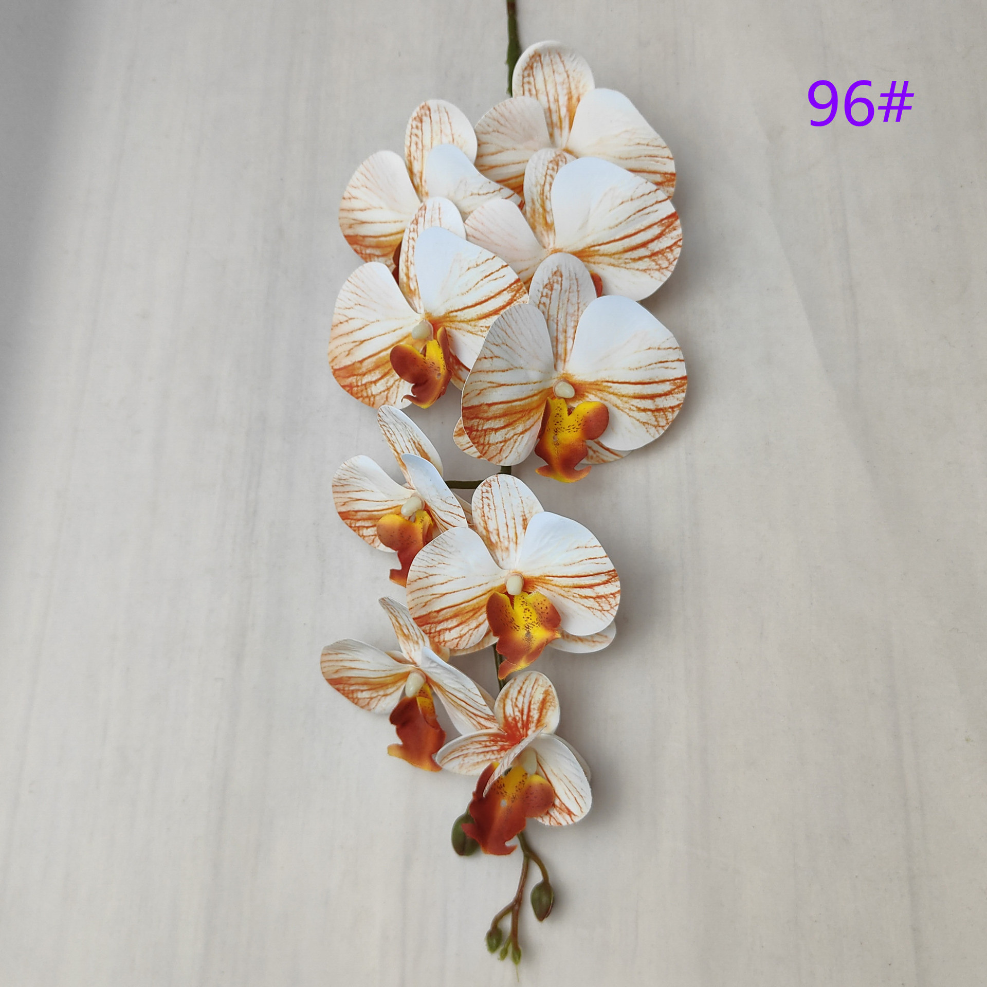 IMG20230509162632_副本