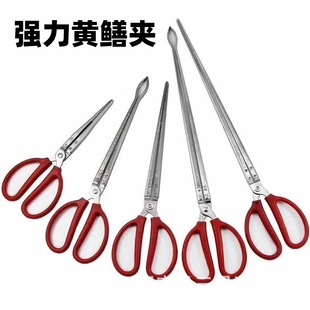 �S�X�A���P䓼Ӻ��s���A��׽���q�A���~�������A�����Q�з�A��