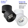 cob Adjustable Surface mounted downlights led Ceiling Ceiling Career Lamp beads Crawford drive 25W30W Carey lighting