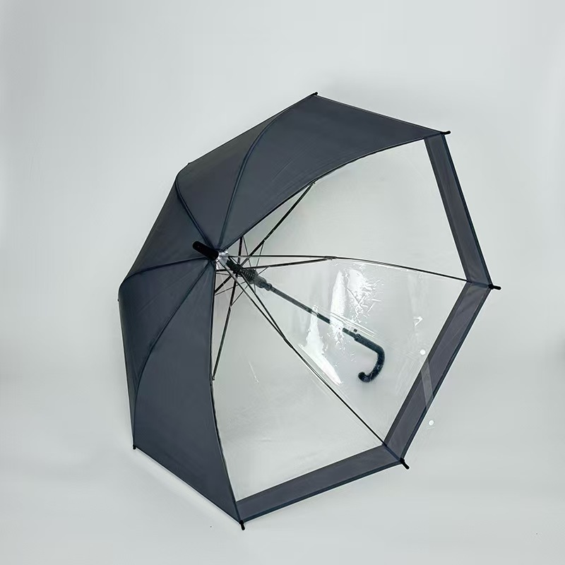 Poe Transparent Umbrella, Flexible and Wind-Resistant, 8-Bone Long Handle Umbrella, Apollo Arch Umbrella, Sun Protection Umbrella, Sunshade Umbrella for Women