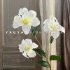 3D printing small lily white
