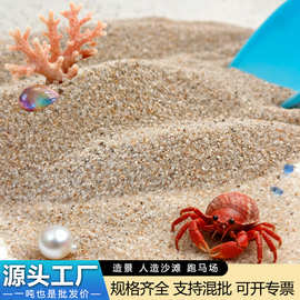 海沙厂家批发圆粒砂人造沙滩造景儿童乐园娱乐沙鱼缸底沙无尘沙子