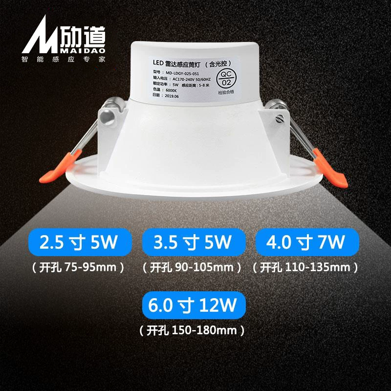 LED spot lighting, induction physiological ceiling light for hotel