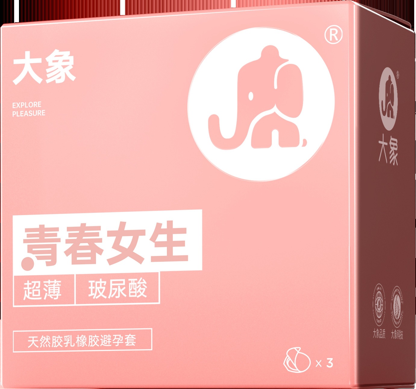 코끼리 청소년 소녀 3마리(예비)