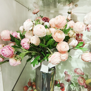 ���к��ذ��Ӹ���ĵ����˹ëݢ�ɏ�����F������滨�Ӽ��Ʒ�[��