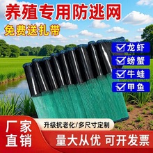 ���l���r���ӾW�з�������q�S�X�Bֳ���ӾW��С���r���W����Ĥ