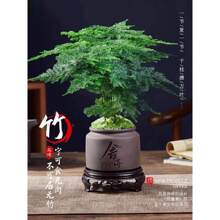 ��������ֲ���҃Ȼ����辰�͏d�k��������С�Gֲ���B����ļ�����