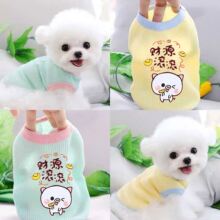 С����؈�䌙���·����ı�����ܷ�������»�̩�ϲ���С��Ȯ��Ȯ