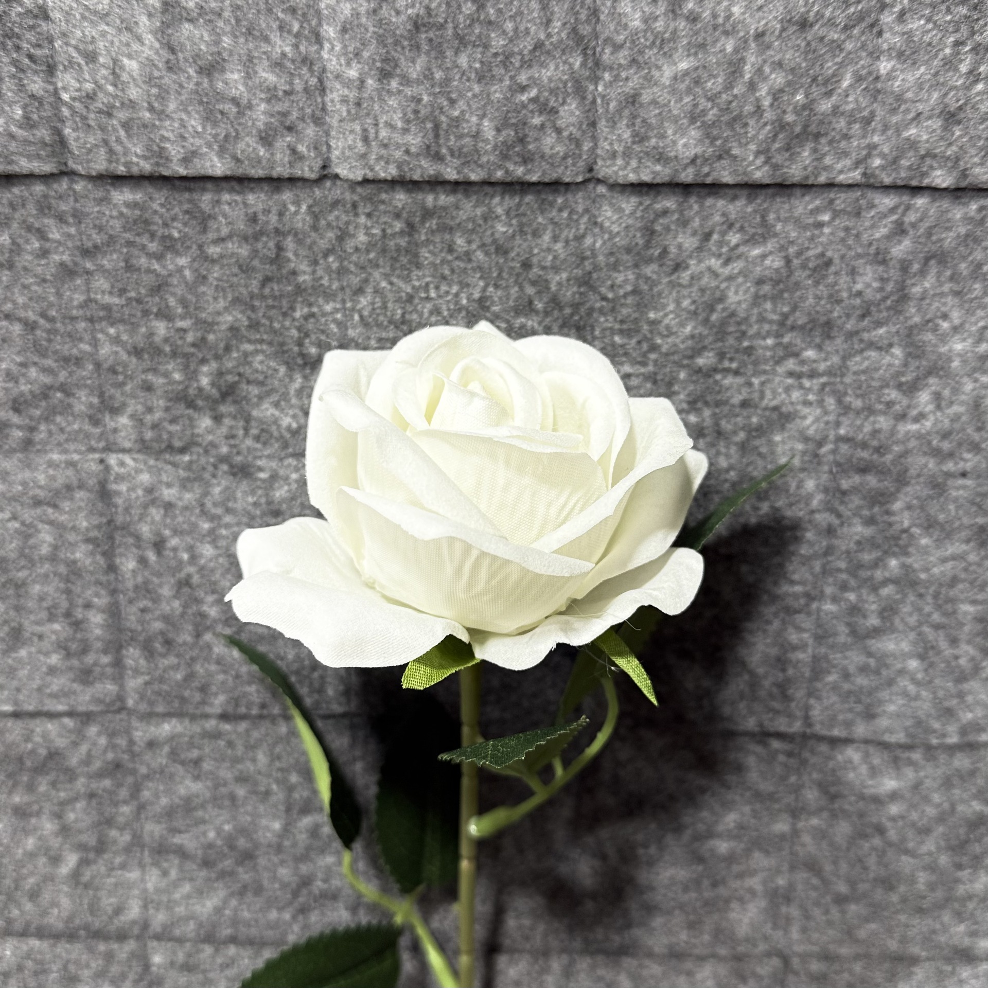 하얀색