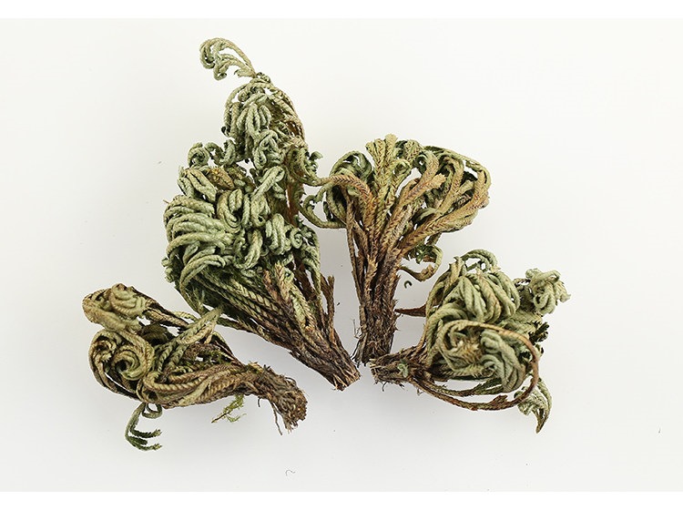 Dried Selaginella Juan Bai 250g Resurrection Herb Whole Plant Traditional Chinese Herbal Tea Material specifications