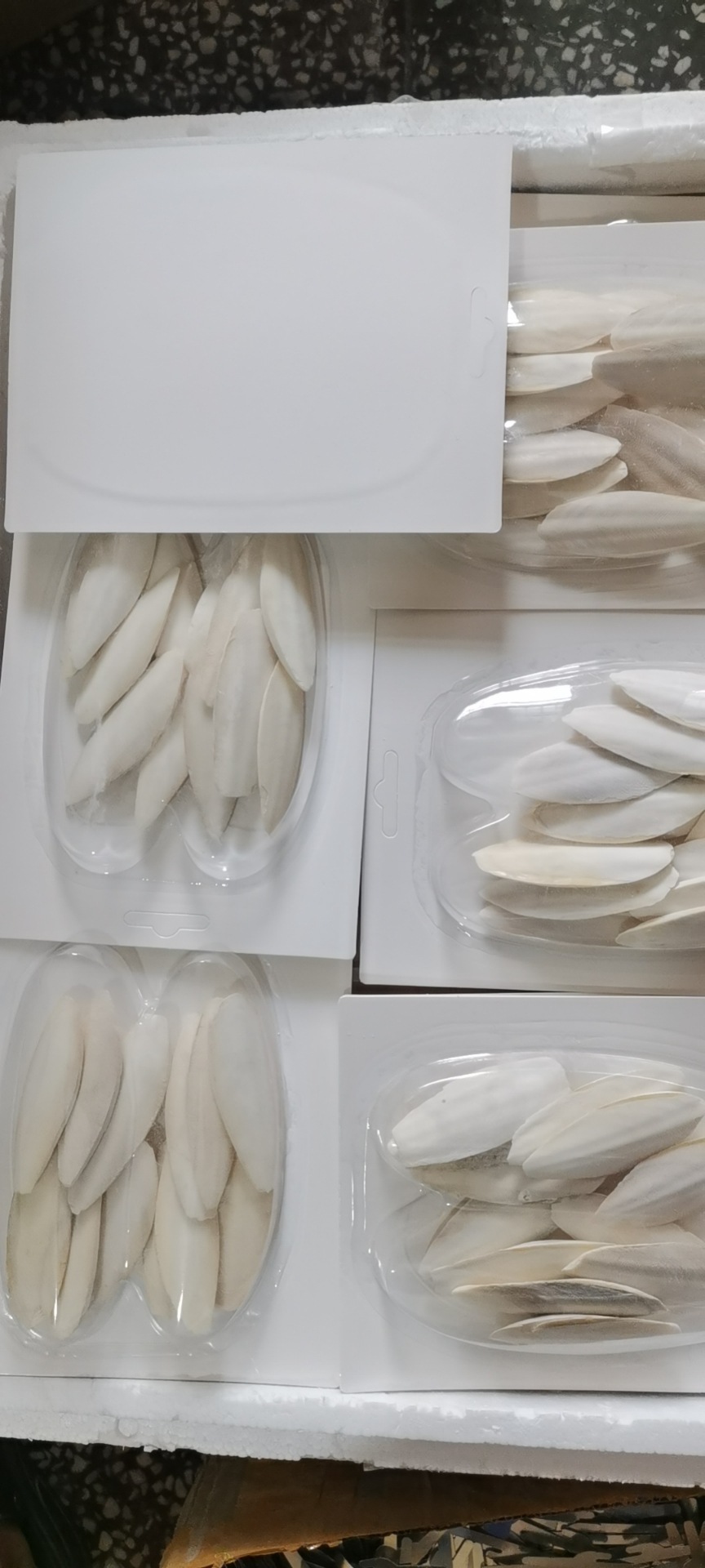 wx_camera_1660446907283