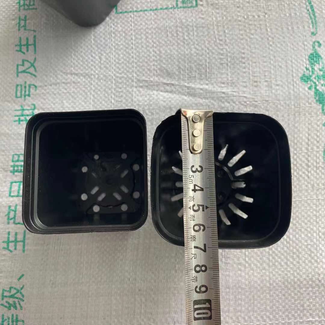 ΢��ͼƬ_2021080216060810