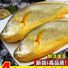 ��؛���S���~���r������rˮ�a�r����r���~����С�S�~�S�~������