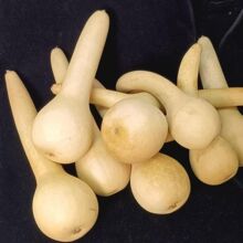 �����l�S�C���J��Ƥ�Nֲ���J�Ͽ���һ���ăr������Ȼ