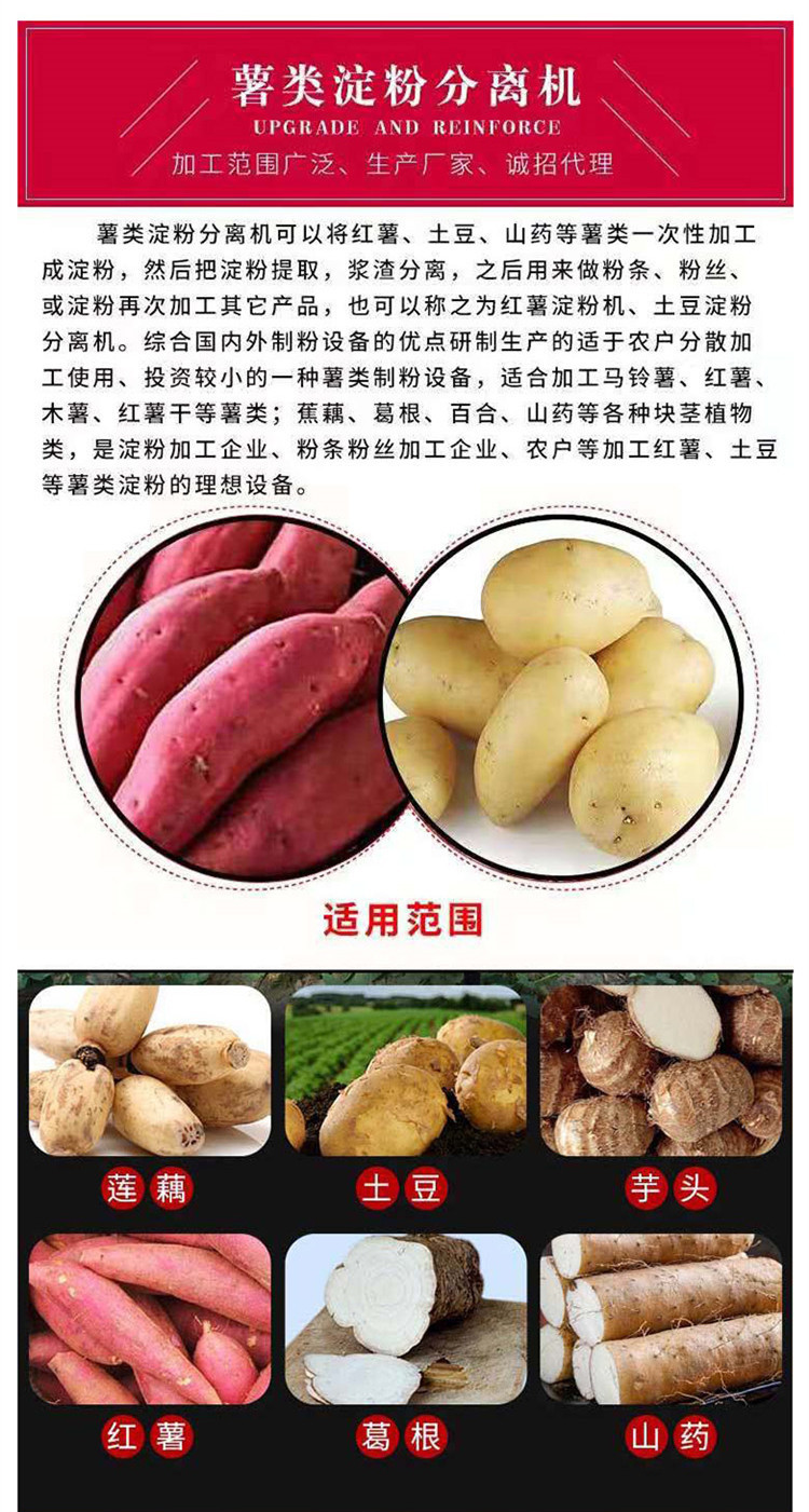 淀粉加工详情5_副本