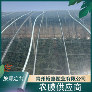����8-15�z����Ĥ ��͸���������߲˴���Ĥ���ϻ�����Ĥ ���FPOĤ