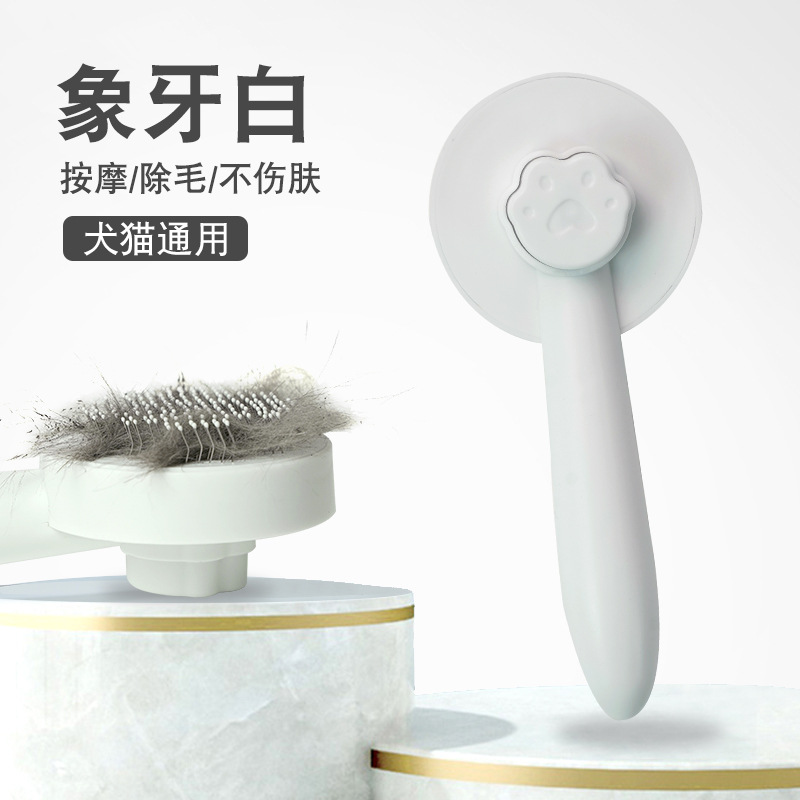 아이보리 화이트