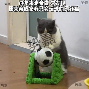 Cat Scratching Board, Vertical Cat Scratching Ball, Wear-Resistant, Claw Grinder, Self-Pleasure and Boredom Relief Cat Toy, Sisal Ball