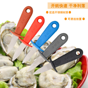 Stainless Steel Oysters, Oyster Shells, Scallops, Seafood Pry, Oyster Scallops, Snail Knives