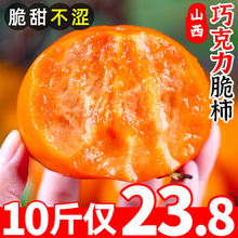 脆柿子水果新鲜9斤当季整箱大果应当季巧克力甜柿火晶黄硬柿包邮5
