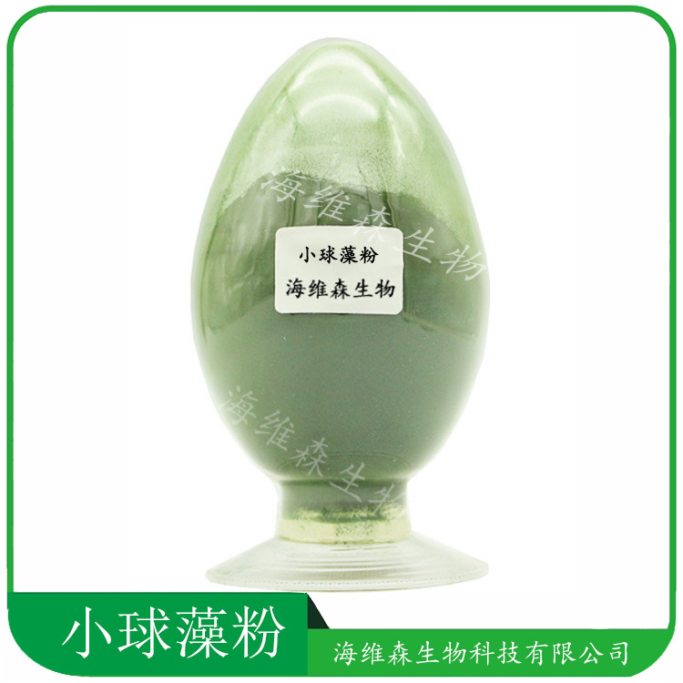 Chlorella Powder Food Application Broken Chlorella Powder Extract Green Algae Powder Protein Core Chlorella Powder