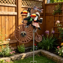 �羳�¿��ͥԺ���� toucan �ﳵ����껨԰װ�ΰڼ�