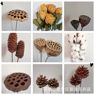 Dry Rose Cotton Golden Lotus Golden Pine Cone immortal blue planet rabbit tail grass wholesale