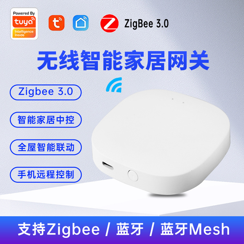 跨境蓝牙涂鸦智能家居无线APP网关智能家居平台