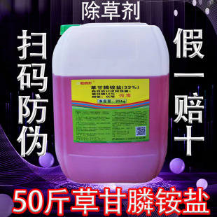 �ݸ���@�}33%���݄���·�F·��Ͱ�ݸ��50��ݸ��נ������݄�