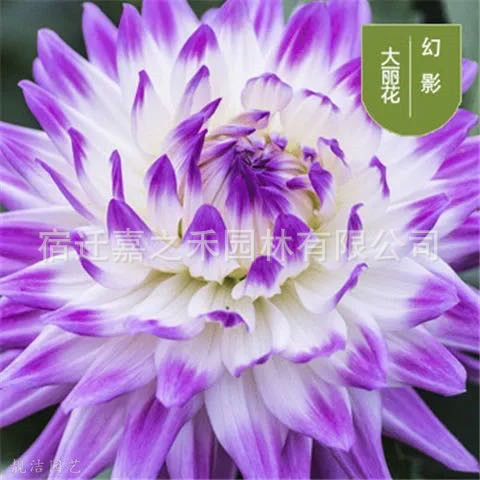 微信图片_20210607121022