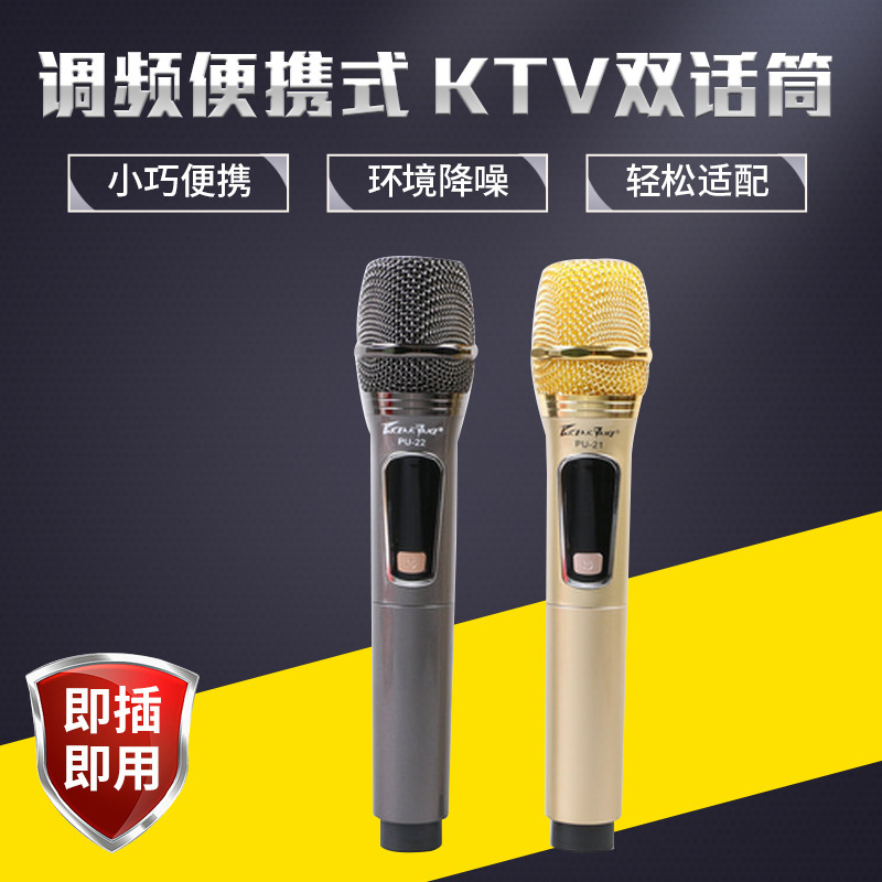Microphone Dual Microphones One-To-Two Wireless Charging Fm U-Band Fixed Frequency Anchor Karaoke Plug-And-Play Performance Conference