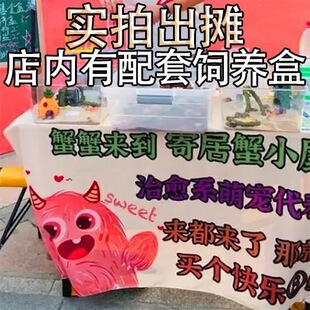 ����ľ�з���T����з���ֻ���з��ꑻҰ������^�pз���ˌ�����a