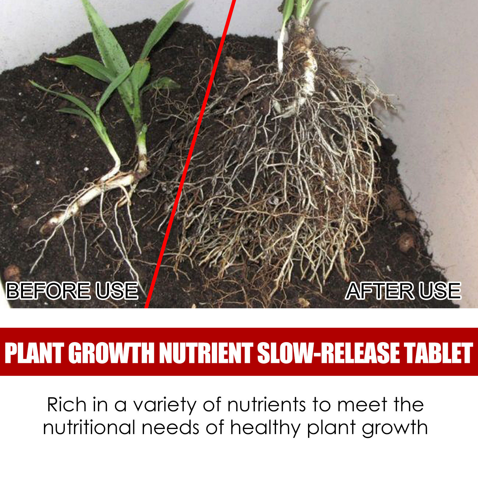 Yegbong Plant Nutrition