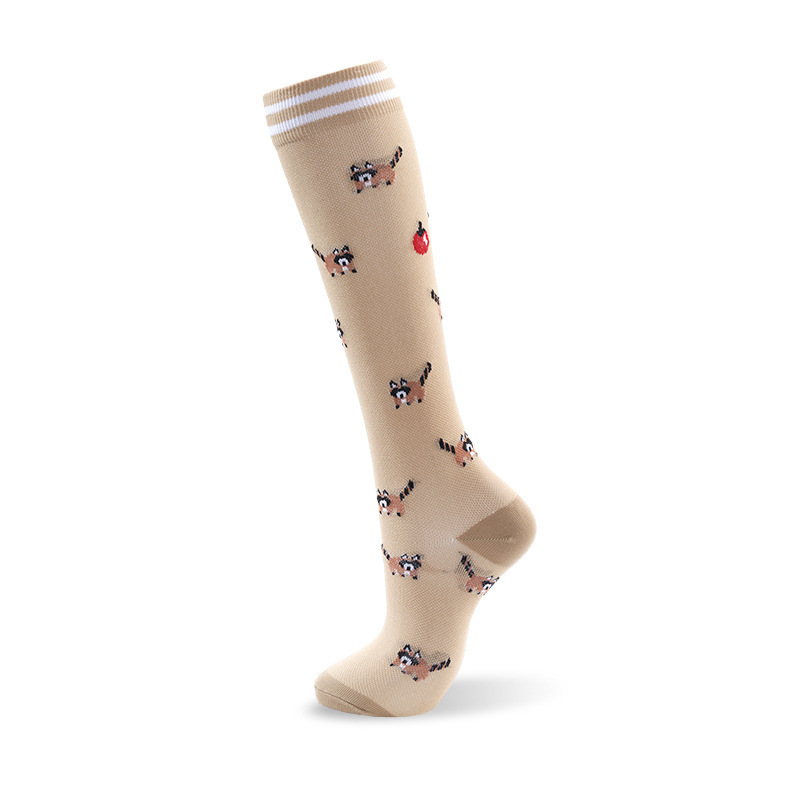 다크 브라운 너구리