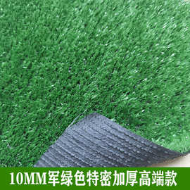 10MM草PP材质特密加厚仿真人造草坪工程围挡人工铺设塑料绿化地垫
