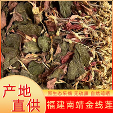 批发金线莲整株干货红霞无碎金线兰林下可泡酒药材南方金草药用