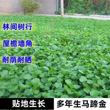 һ�����l����������ݱ�ֲ���R���N�Ә��Р�߅�Nֲ���a���N����