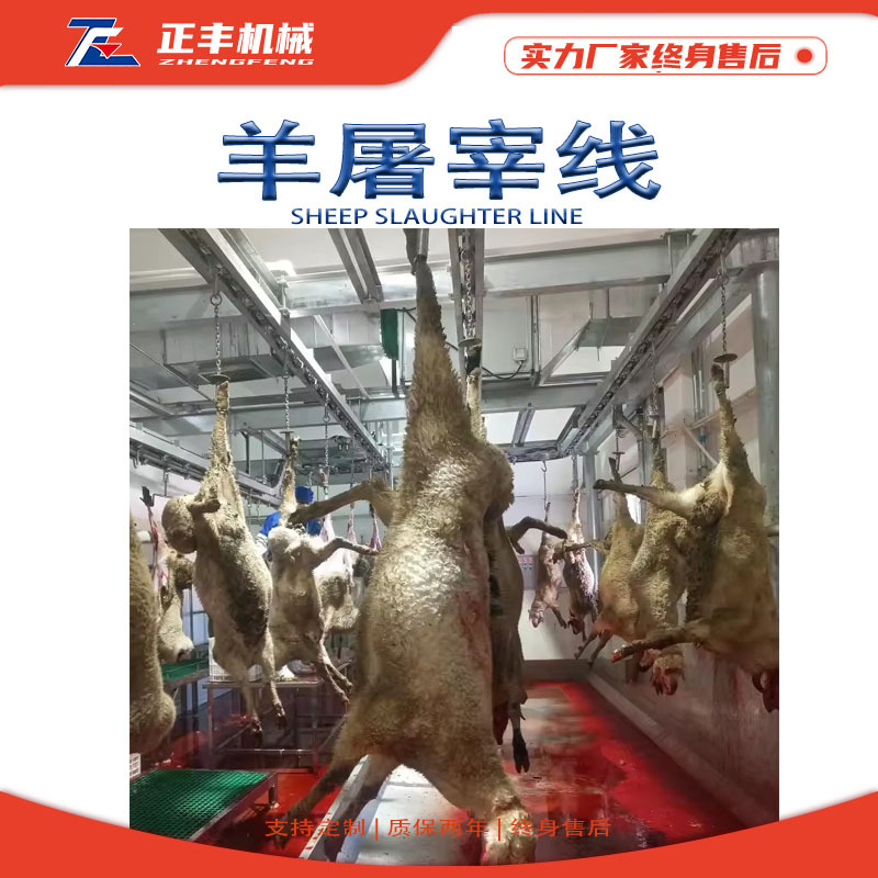 羊屠宰生产线厂家肉羊悬挂宰杀流水线放血扯皮分割成套设备可定制