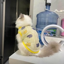 ����؈���·�����ë�W�������ļ�����������u�Ӳ�ż؈������؈