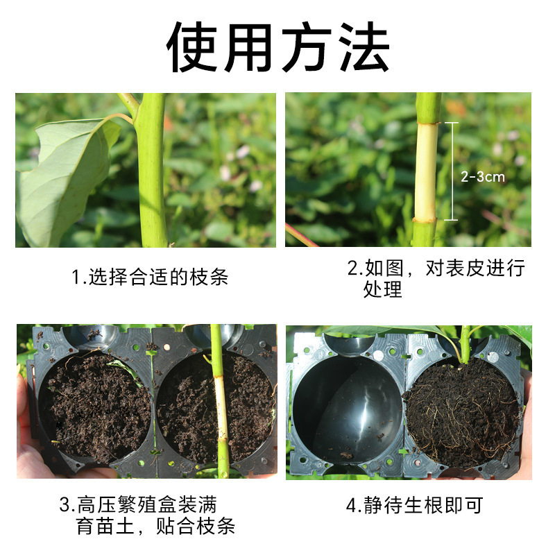 Caja de cultivo de enraizamiento, arboreto, rama, paquete de alta presión, control de rama, injerto de rama, herramientas de jardinería, molde de alta presión