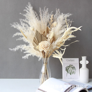 �����߸ɻ���ɫͨ�ݻ������Ȼ���ins�L��Ȼ�ɻ�����Ҿ��b廨