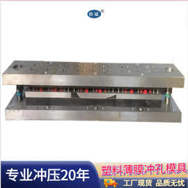 厂家 级进模 自动连续冲压模具 塑料薄膜冲孔模具