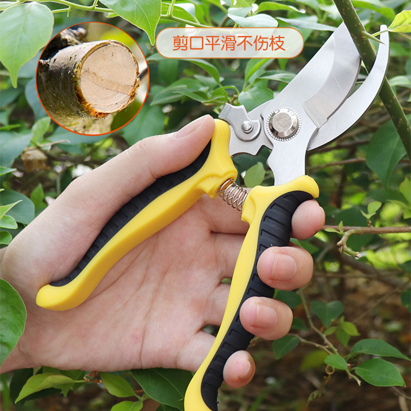 剪定果樹剪定刀園芸ハサミ枝園林省力修花枝剪定家庭用道具ハサミ|undefined