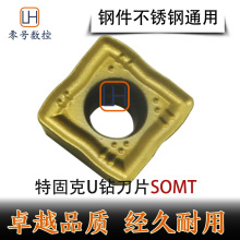U�굶ƬSOMT050204/060204/070306/08T306/09T308-DP ���ع̿� ��