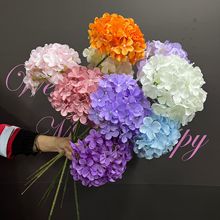 ��������ǽ����֧�����c���^��ɫ������Ȼϵ��Y���^��