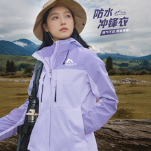 紫色防风冲锋衣定制印字logo冬季公司团体工作服加绒棉服厚工装男