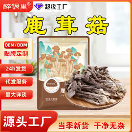 批发鹿茸菇食用菌菇餐饮饭店菌类煲汤火锅干货木耳黑木耳食材家用