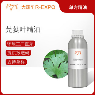 ܾݴ�~���� Coriander Leaf ���_˹ֱ�ɾ���ԭ�����l ����܇����