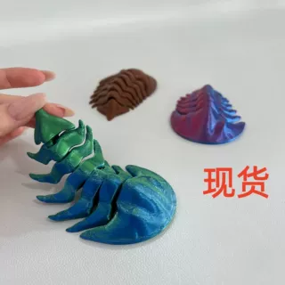 三叶虫拟平鬃虫三跗节虫‌科坦虫隐头虫摆件 Cryptolithus 跨境