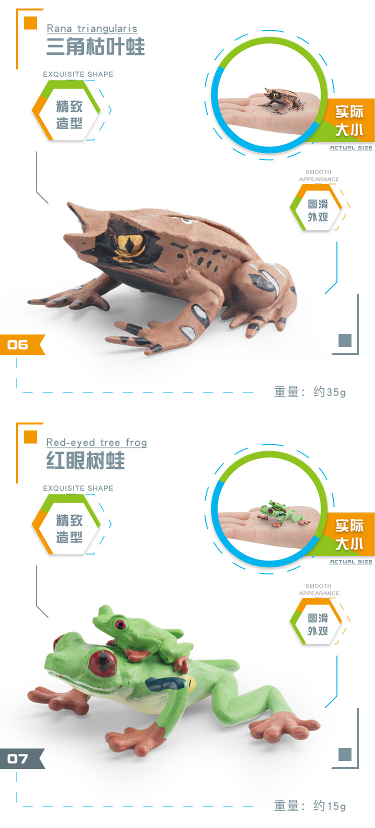 图层 5.jpg